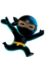 Ninja 2